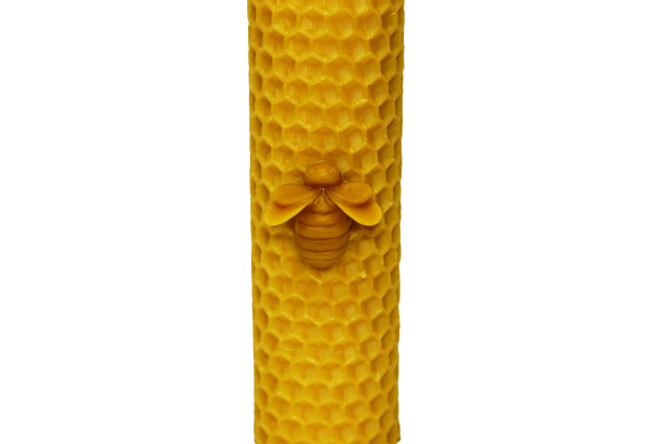 Svíčka ze včelího vosku motaná 10x3cm