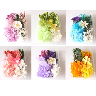 Sušené květiny a rostliny - Květinový sen